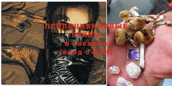 mix Аркадак